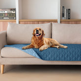 Funda gogobunny impermeable de doble cara para perros, protege muebles y es reversible.