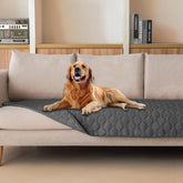 gogobunny manta impermeable gris oscura sobre sofá protege muebles contra arañazos.