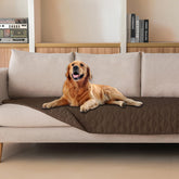 Manta impermeable gogobunny en primer plano protege muebles con suavidad.