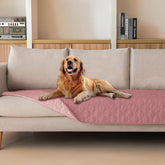 Manta gogobunny impermeable para mascotas protege muebles de arañazos y manchas.