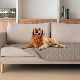 gogobunny manta-impermeable proteccion-muebles-3x protege muebles de arañazos y derrames