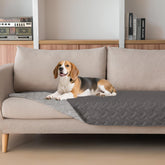 Gogobunny manta para perro, doble cara impermeable, ideal para mantener limpio el suelo.