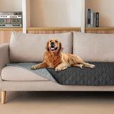 Manta gogobunny doble cara impermeable para perro protege sofá y muebles