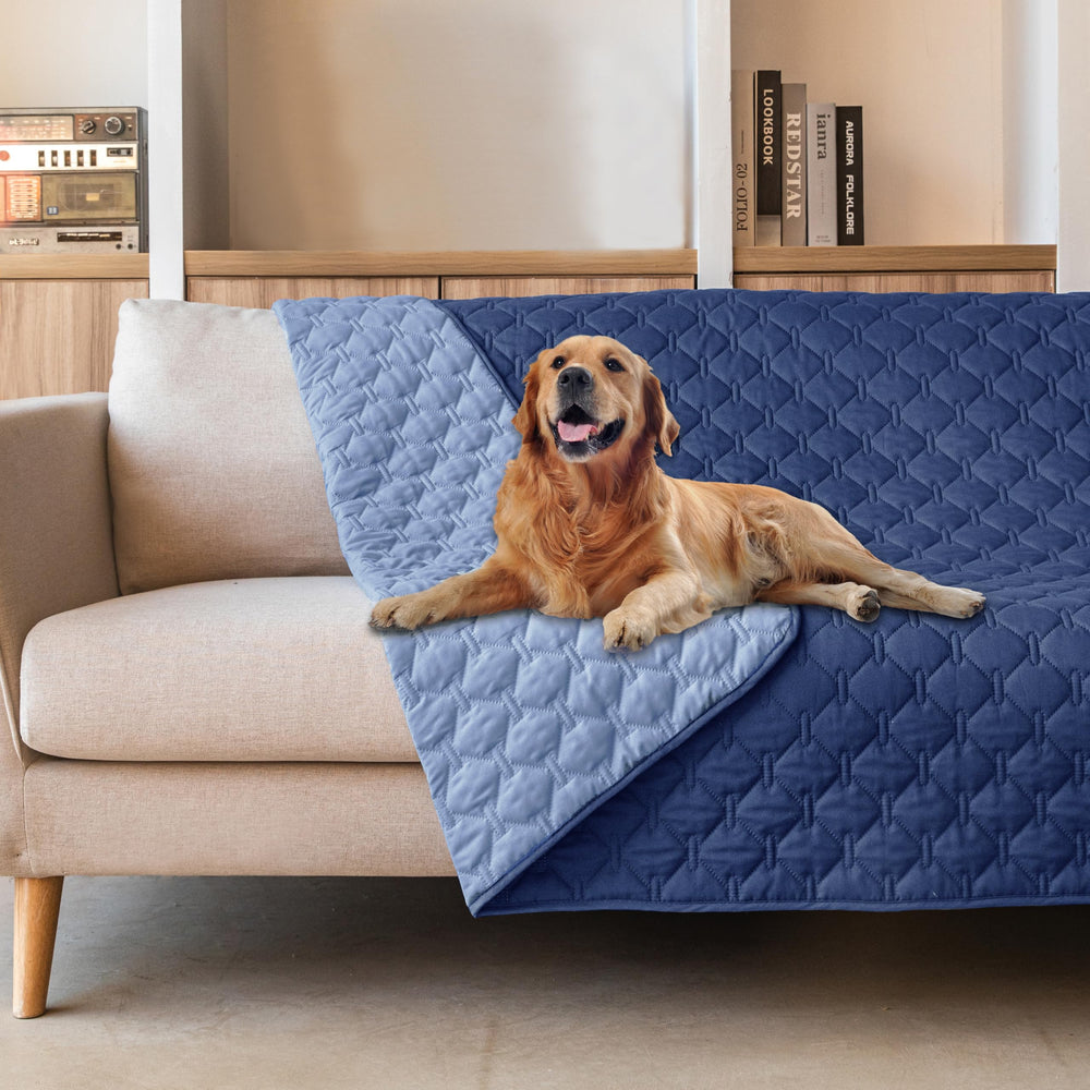 Manta gogobunny doble cara impermeable para perro, protección total.