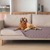 La manta gogobunny doble cara impermeable es ideal para uso diario en casa.