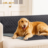 Gogobunny manta doble cara impermeable para perros, protege muebles.
