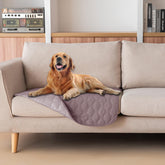 Manta gogobunny impermeable doble cara, frente: protege derrames y manchas en muebles.