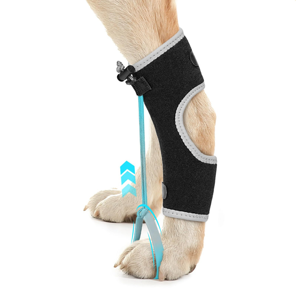 GoGoPaw ortesis para nudillos de perro con cierre dual para ajuste seguro.