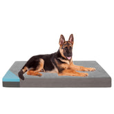 GOHOO PET cama ortopédica de espuma para perros grandes con apoyo de articulaciones