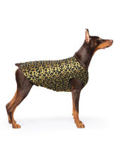 Gold Paw chaqueta polar estirable en leopardo, ideal para paseos cálidos en invierno.
