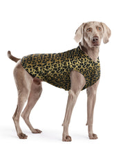 Goldpaw chaqueta fleece extensible para perro pequeño en Leopardo, ideal para paseos invernales.