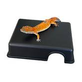 Gondola Geckos: caja escondite, frente, refugio cómodo para reptiles.