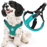 Gooby arnés deportivo turquesa para perros pequeños, cómodo y seguro en paseos.