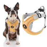 Gooby arnés de espuma de memoria para perro amarillo, cómodo y ajustable para paseos diarios.