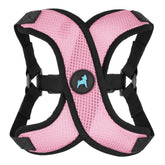 Gooby Comfort X con malla transpirable para paseos cómodos en perros pequeños