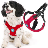Gooby Escape Free Sport Harness frente: ajuste cómodo para paseos sin tirones