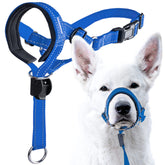 GoodBoy arnés de cabeza acolchado en neopreno para paseos más cómodos.