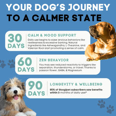 GOOGIPET Daily Hemp Calming Chews, etiqueta con mezcla de hierbas calmantes.