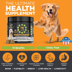 Googipet Premium 10 en 1: omegas 3-6 para piel y pelaje brillantes.