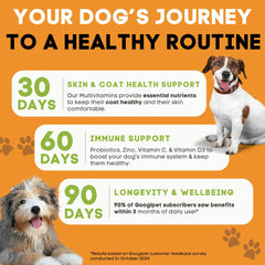 Googipet Premium 10 en 1: probióticos para digestión suave en perros.