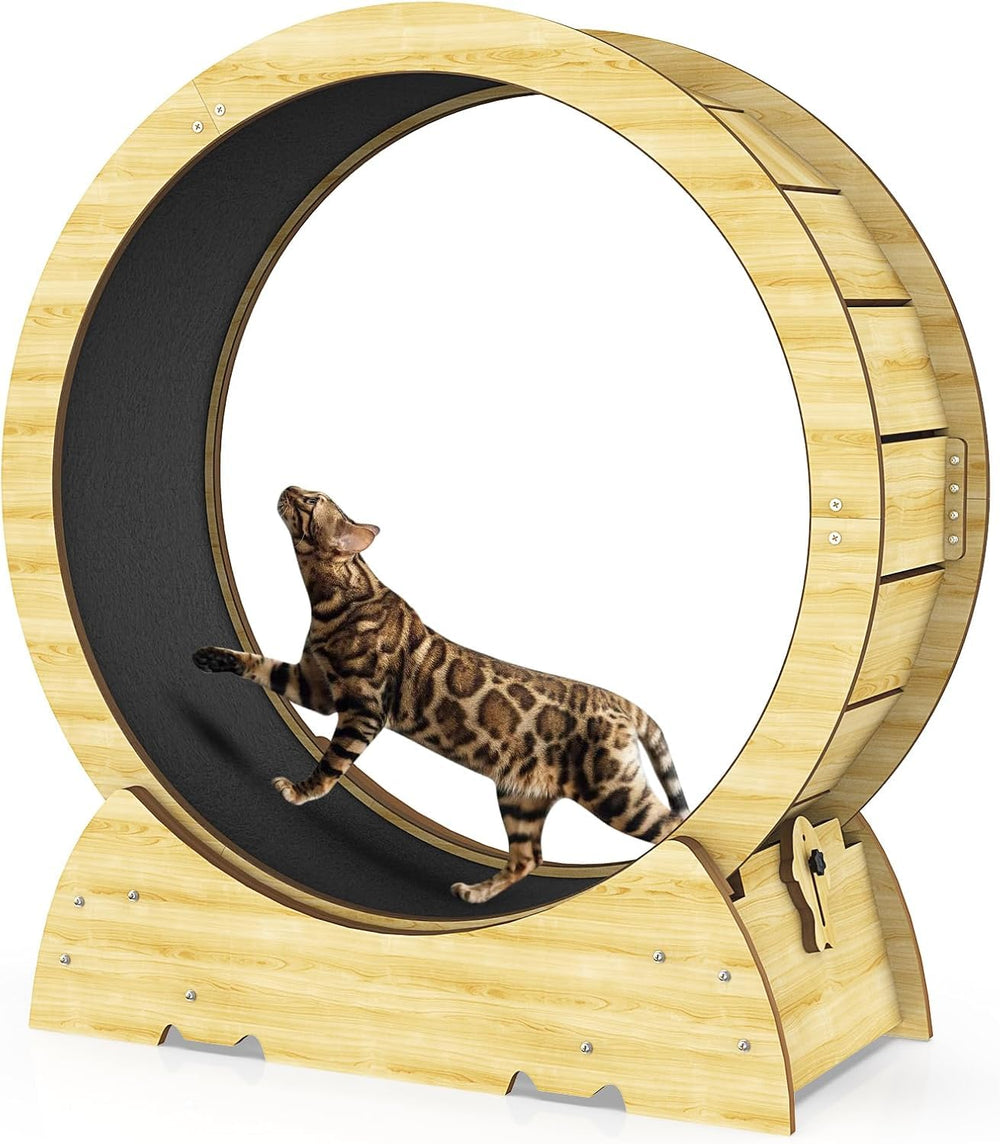 Rueda de ejercicios Gornoxblif para gatos 36 pulgadas, fomenta ejercicio diario.