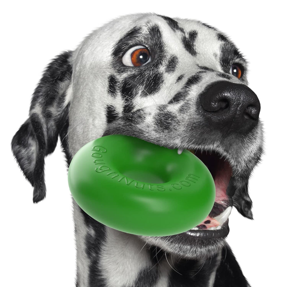 Juguete anillo Goughnuts para perros medianos, duradero y seguro.