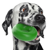 Juguete anillo Goughnuts para perros medianos, duradero y seguro.