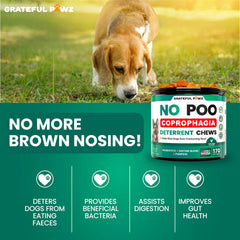 Grateful Pawz: imagen de comida para perro, apoyo digestivo posible.
