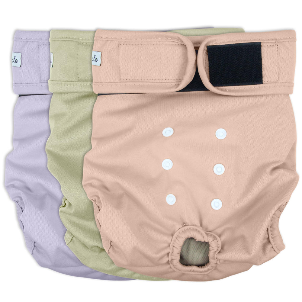 Grecle pañales reutilizables para perra en calor, ajuste cómodo y discreto.