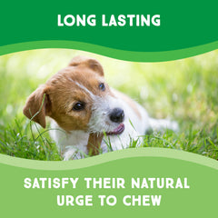 GreenCow Rawhide Chips en empaque bulk de 1 libra.