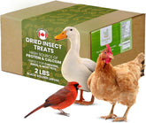 Greenest Treats: larvas secas de mosca soldado para aves, fuente proteica.