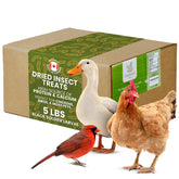 Greenest Treats larvas secas en envase, snack proteico para aves
