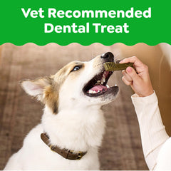 Greenies dentales para perros, primer plano de la textura única que limpia hasta la línea de las encías