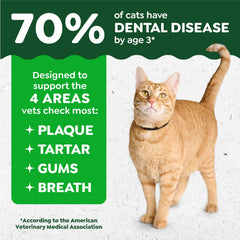 Greenies Gatos Premios Dentales Forma Cepillo: diseño que ayuda a limpiar líneas de encía.