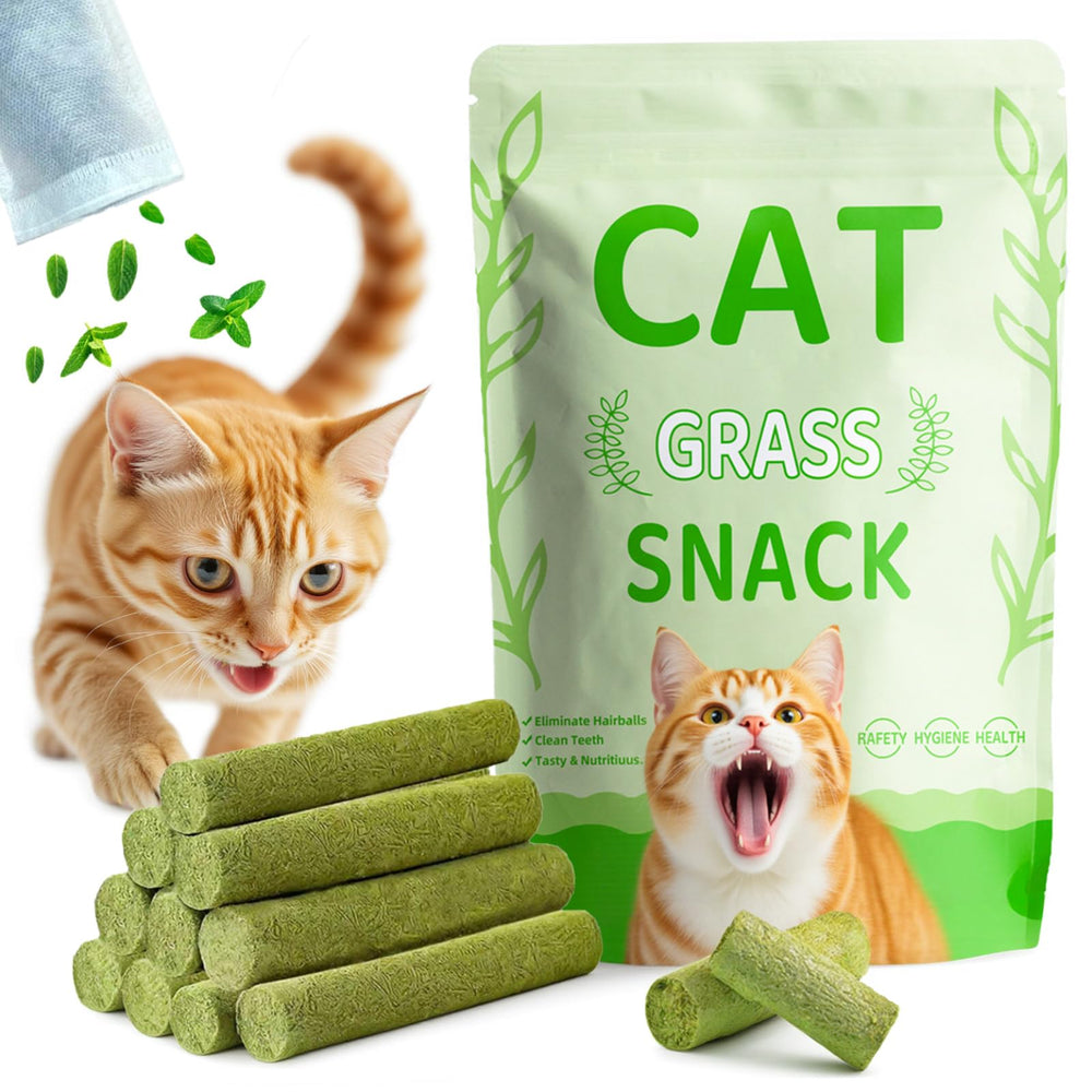 GREMBEB Juguete hierba gato, ideal para juego suave y gusto natural.