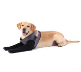 Calcetines Grettytling para perro evitan lamidos con diseño transpirable