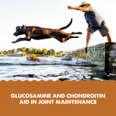 GRIZZLY PET PRODUCTS Aceite de krill mejora absorción de nutrientes