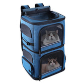 Groxkox doble mochila para gatos, enfoque en transporte seguro para dos felinos durante viajes.