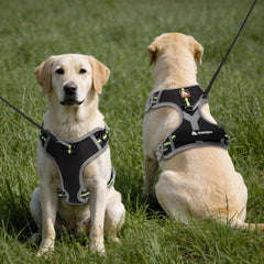 Arnés Gudpeit con ajuste de 4 correas para un fit perfecto en perros grandes.