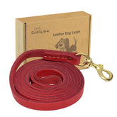 Guiding Star: correa de cuero 6 pies, frontal, para paseos suaves y controlados.