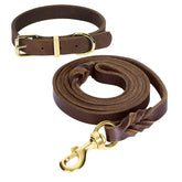Guiding Star correa de cuero suave de seis pies para paseos cómodos y seguros.