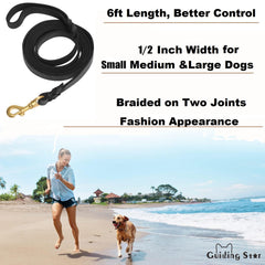 Guiding Star correa de cuero 6ft para perros grandes con gancho de bronce 360°.