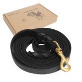 Guiding Star correa de cuero 6ft para paseos suaves y entrenamiento.