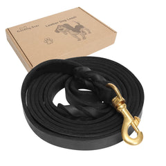Guiding Star correa de cuero 6ft para paseos suaves y entrenamiento.