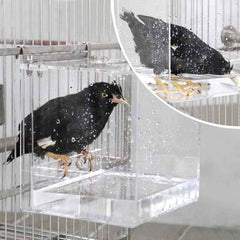 GURECOD baño de aves en acrílico transparente para claridad y limpieza.