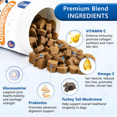 GuruAmi 40 en 1, probióticos 5 cepas para equilibrio digestivo e inmunidad