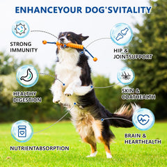 GuruAmi hongo cola de pavo para perros, complemento nutritivo para resistencia.