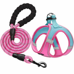 Haapaw arnés ajustable para perros, cómodo y seguro para caminatas diarias.