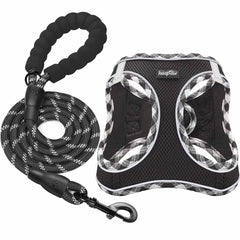 haapaw arnés con correa set suave, cómodo y práctico para perros pequeños.