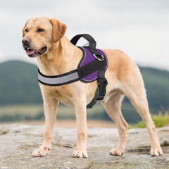 Arnés Haapaw con mango ergonómico acolchado para manejo cómodo